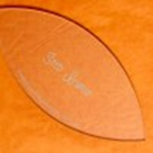 Seed Burst Paper Pattern plus Acrylic Template