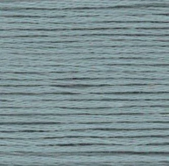 Cosmo Embroidery Floss #2981