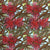 Aboriginal Indigenous Flowering Gum in Red Clay - 1 m