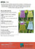 Classic A-line Skirt Pattern