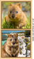 Island Adventure Quokka Panel - 24 Inch ( 70 cm)