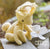 May Blossom Pattern Set